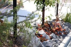 1f6c2b1e6400273c75952197b84dfeed