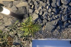 2174839253a0130780fff656fa933796