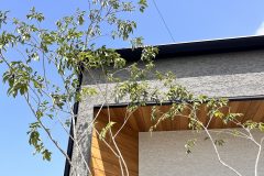 5dcd628a613c09a0699d7144653413d1