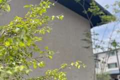 9a76fd3b0274406165b099cc4f43a2a9