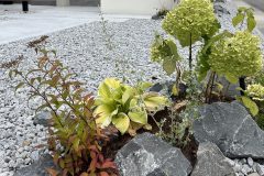 99b890ce1678ddeada43e78d1d739044