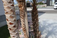 684b874b5b372465bfbd4a59c10902bb