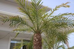 b28cceff142463103fea156076e8eacc