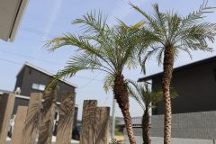 d21df86073eeb001114c098f75ec4ad0