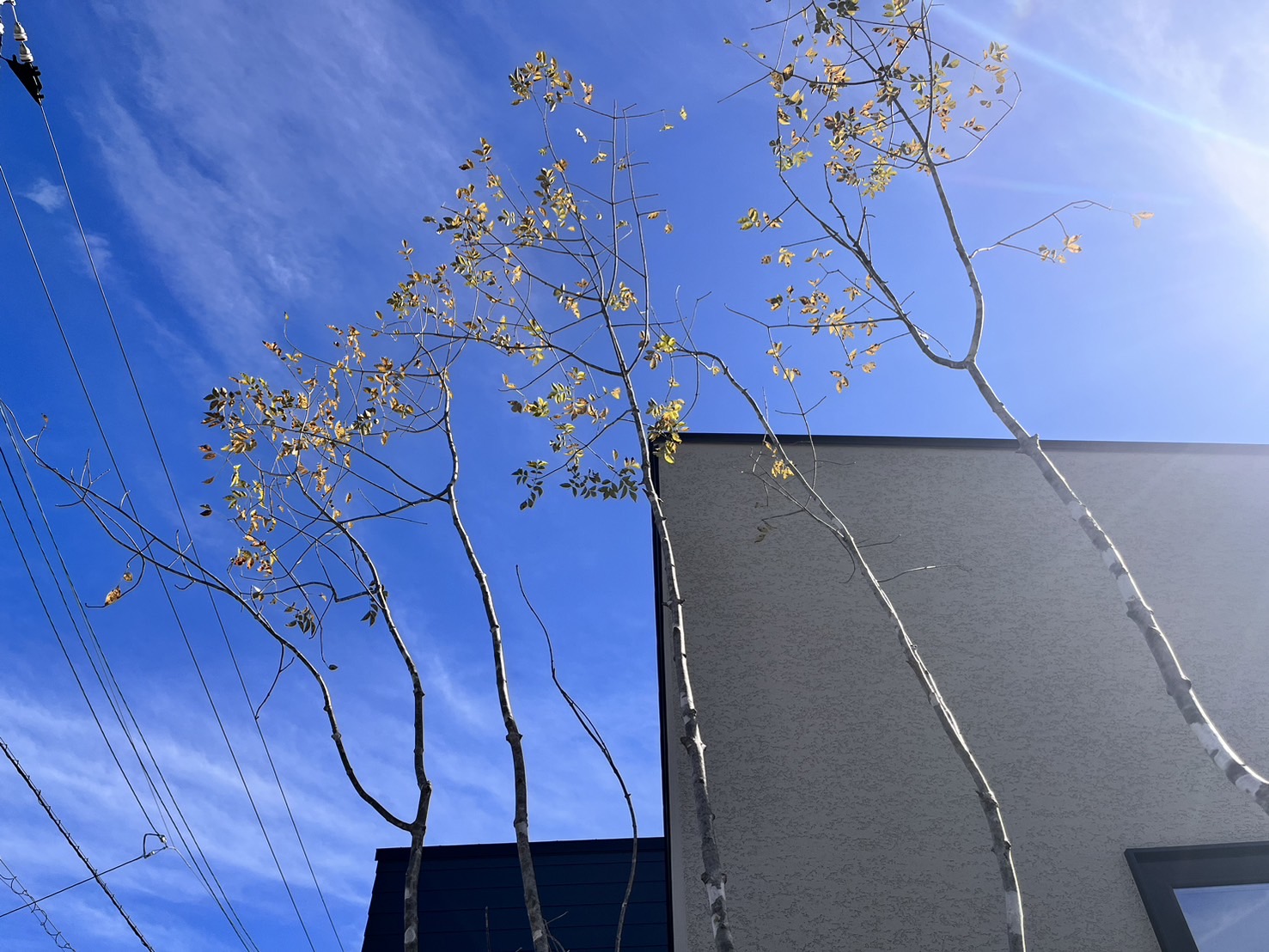 香川県丸亀市のお庭施工例｜開放感とプライバシーを両立したオープン外構